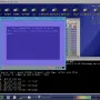 vice-02.webp